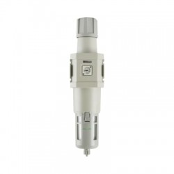 Bộ lọc khí nén W1000-8-W